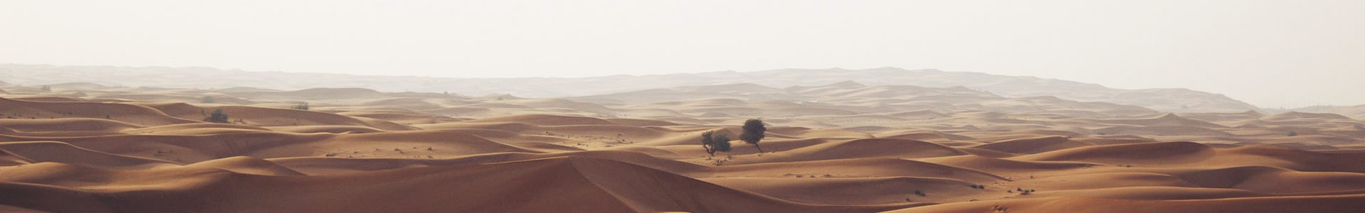ŷ˹²ϿƼ޹˾